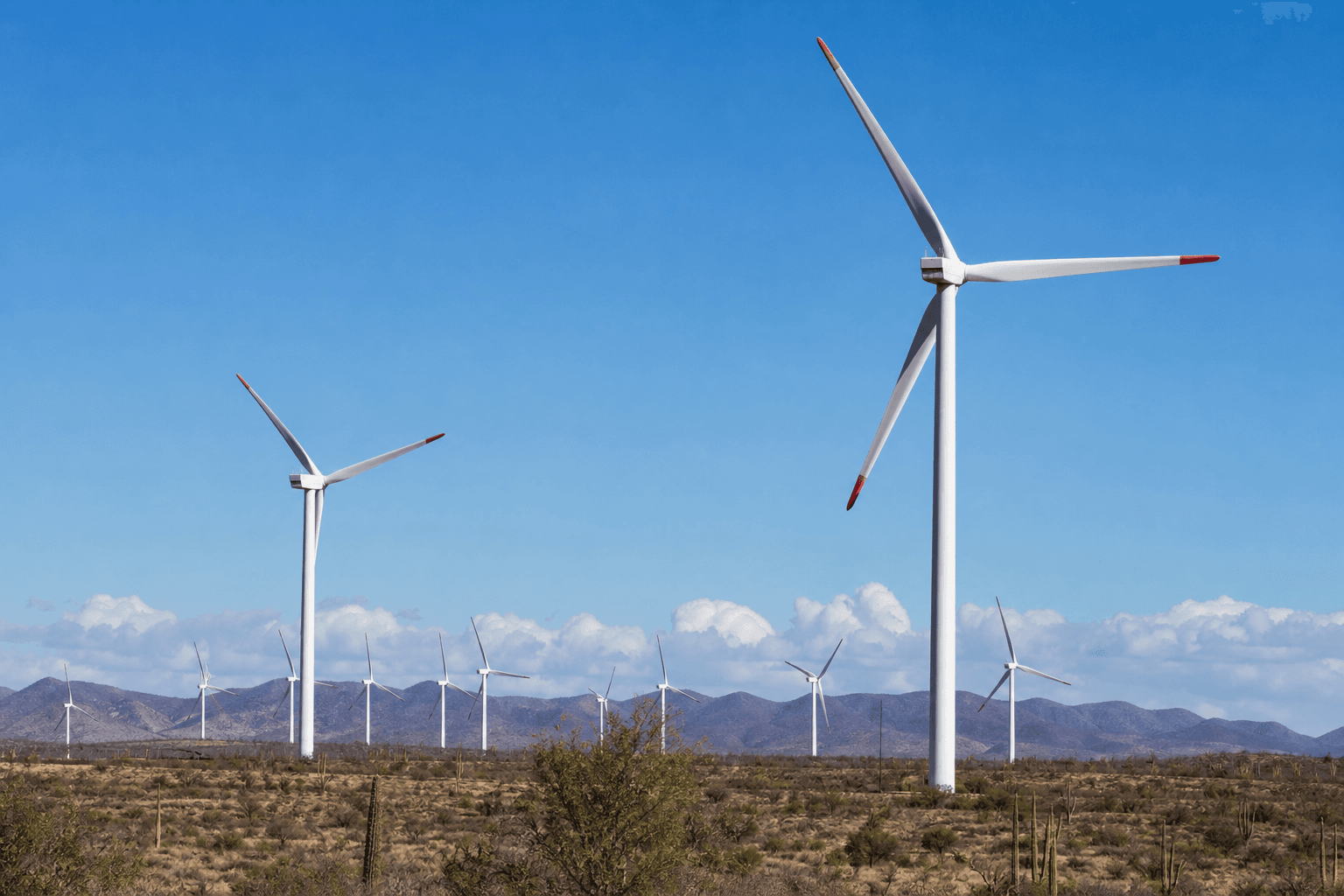 Energía Eólica Industrial